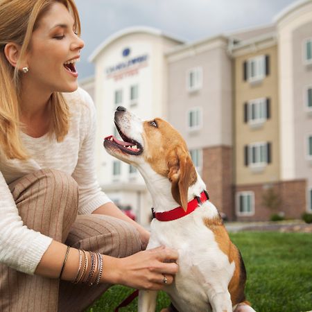 Sonesta Simply Suites Dallas Richardson Eksteriør billede